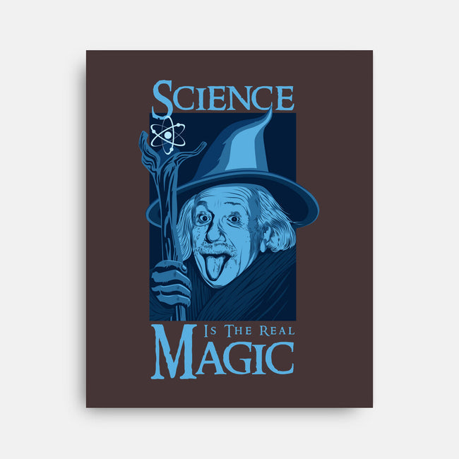 Science Is The Real Magic-None-Stretched-Canvas-sachpica