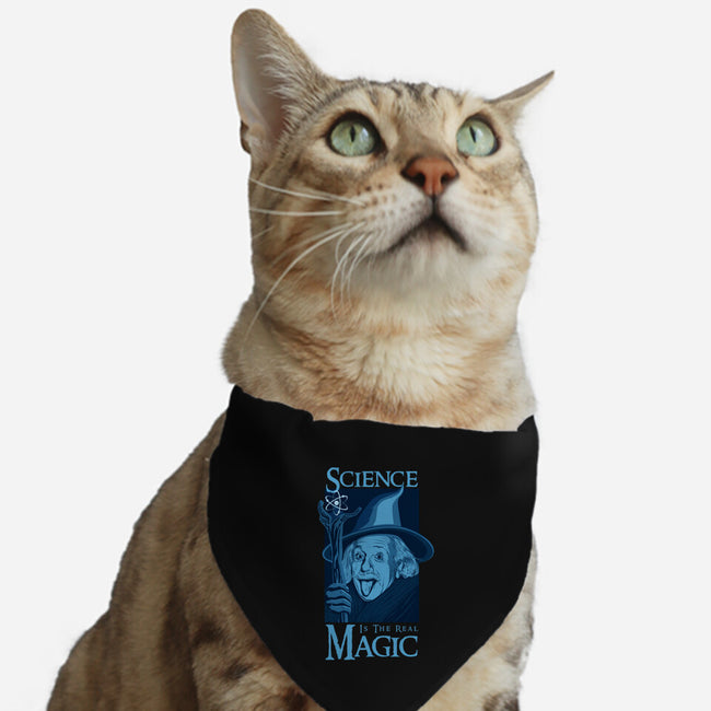 Science Is The Real Magic-Cat-Adjustable-Pet Collar-sachpica