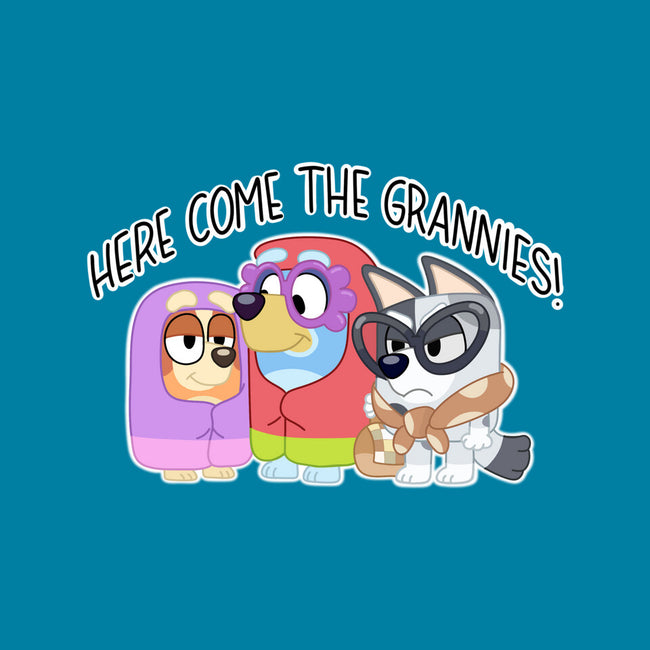 Here Come The Grannies-None-Fleece-Blanket-Alexhefe