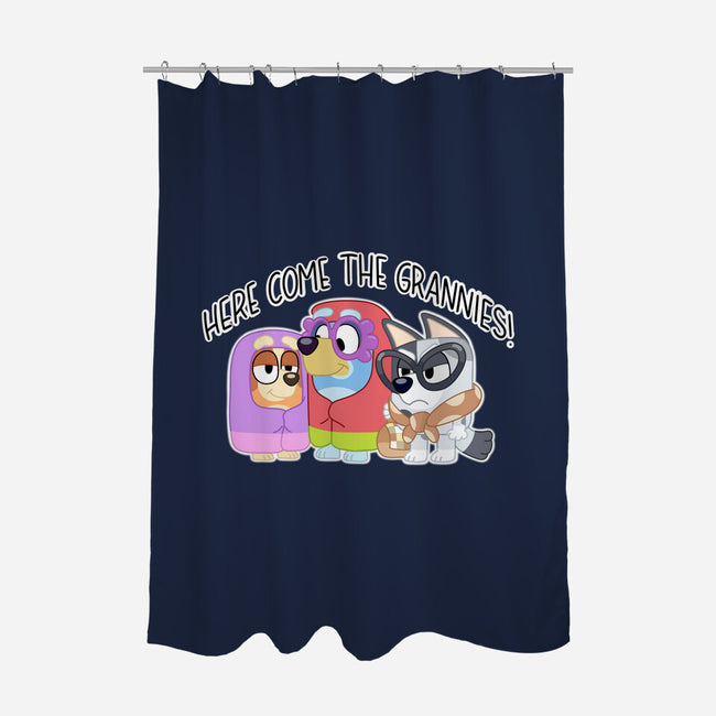 Here Come The Grannies-None-Polyester-Shower Curtain-Alexhefe