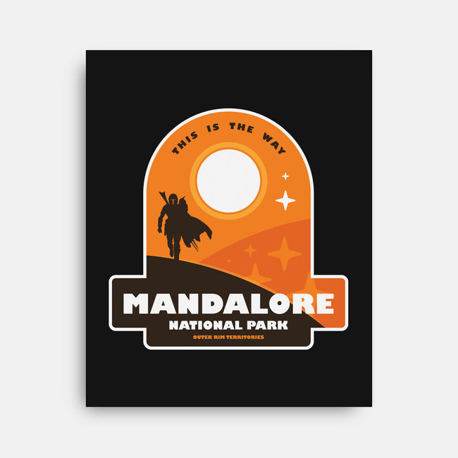 Mandalore National Park-None-Stretched-Canvas-BadBox