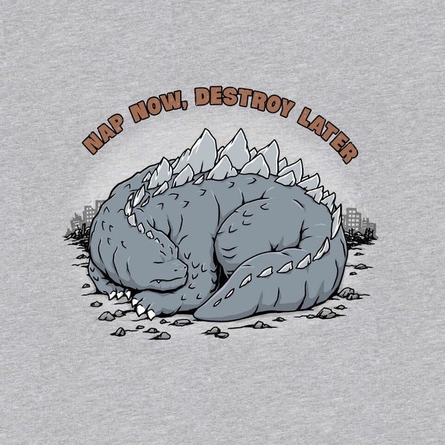 Nap Now Destroy Later-Youth-Basic-Tee-pigboom