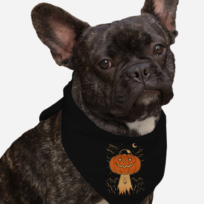 I Believe In Halloween-Dog-Bandana-Pet Collar-dfonseca