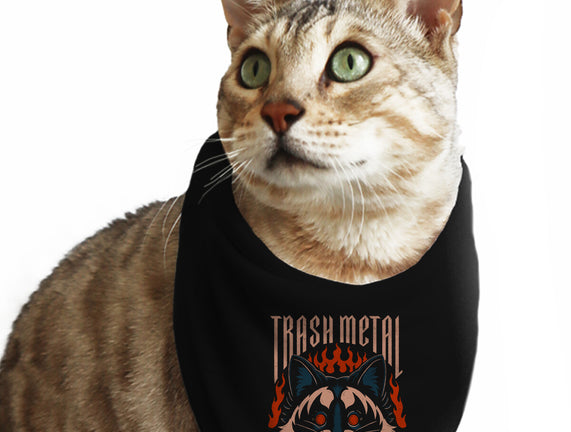 Trash Metal Raccoon