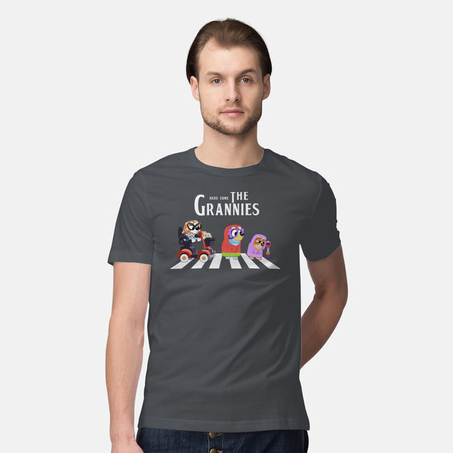 Grannies Crossing-Mens-Premium-Tee-Alexhefe