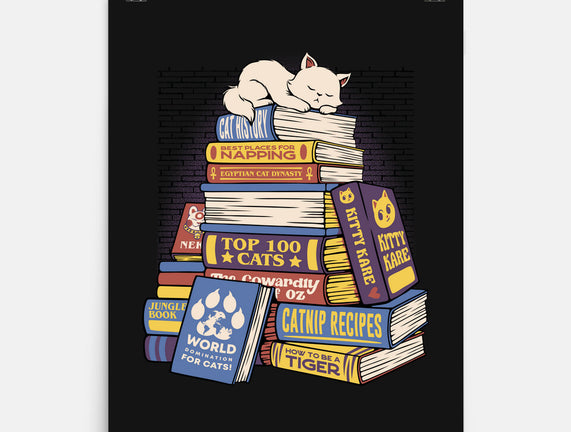 Cat Books Feline Library