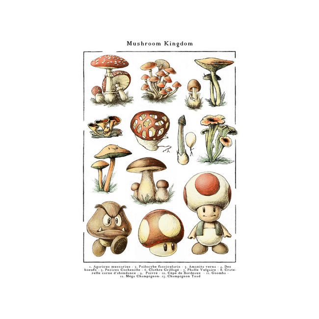 The Mushroom Kingdom-None-Matte-Poster-BlancaVidal