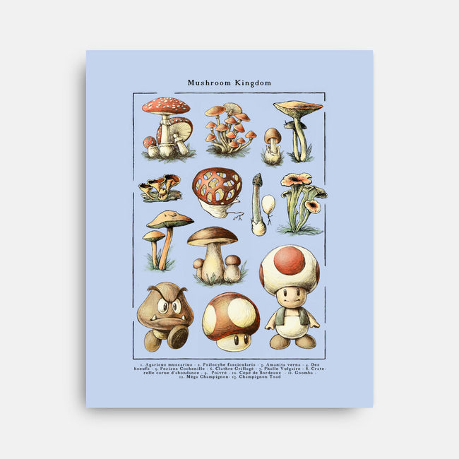 The Mushroom Kingdom-None-Stretched-Canvas-BlancaVidal