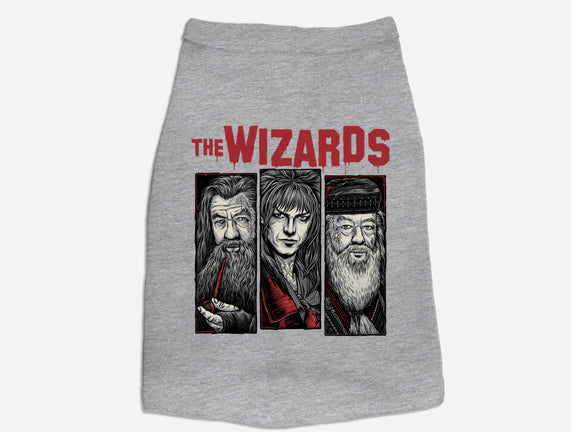 The Wizards