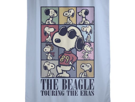 Eras Of The Beagle