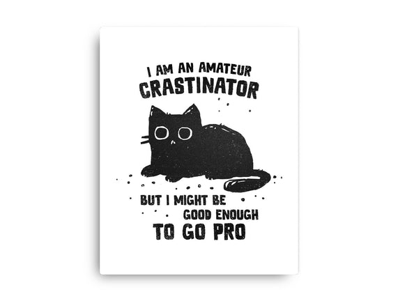 Amateur Crastinator