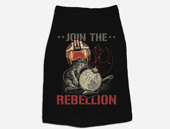 Join The Cat Rebellion