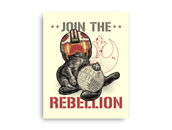 Join The Cat Rebellion