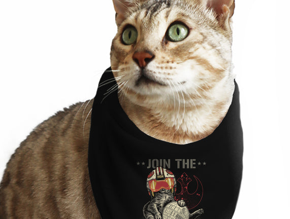 Join The Cat Rebellion