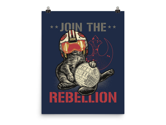 Join The Cat Rebellion