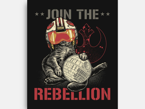 Join The Cat Rebellion