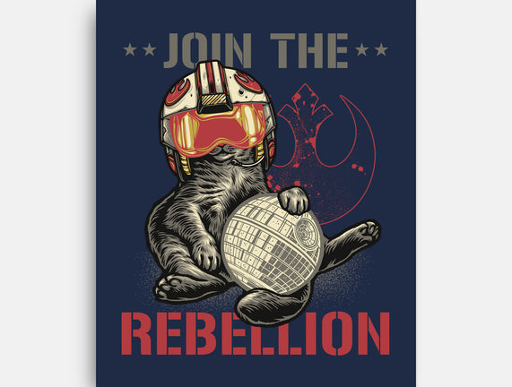 Join The Cat Rebellion