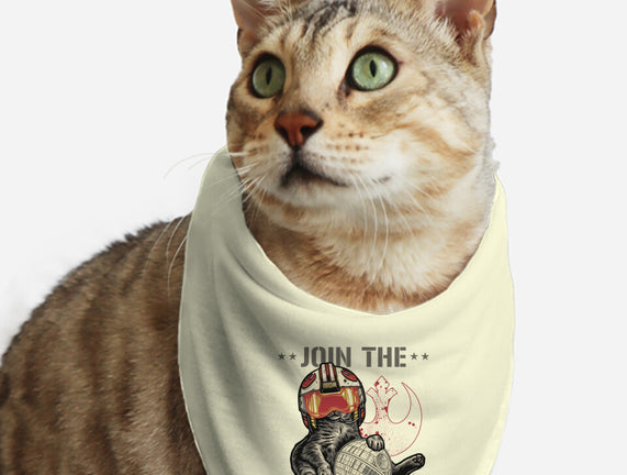 Join The Cat Rebellion