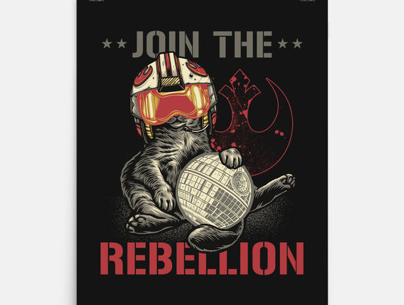 Join The Cat Rebellion