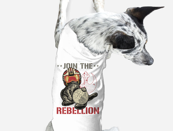 Join The Cat Rebellion