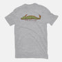 Not This Year-Mens-Premium-Tee-sebasebi