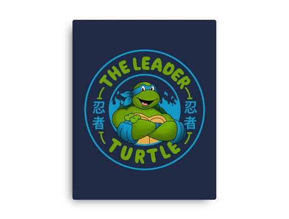 The Leader Turtle