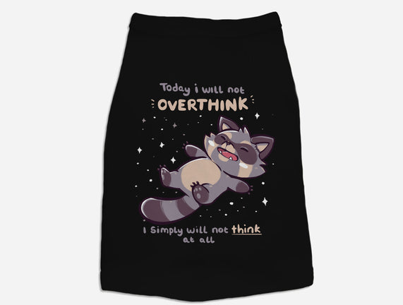 No Thoughts Raccoon