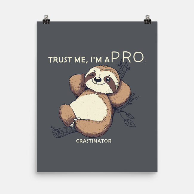 I'm A Pro-None-Matte-Poster-sebasebi