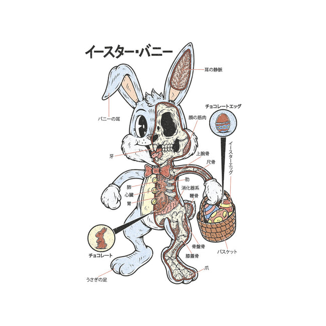 Easter Bunny Anatomy-None-Outdoor-Rug-Firebrander