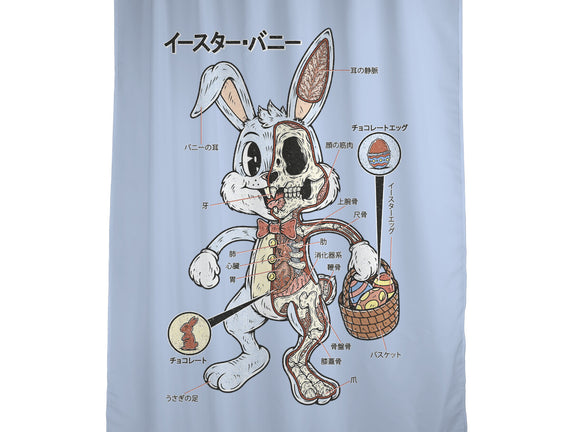 Easter Bunny Anatomy