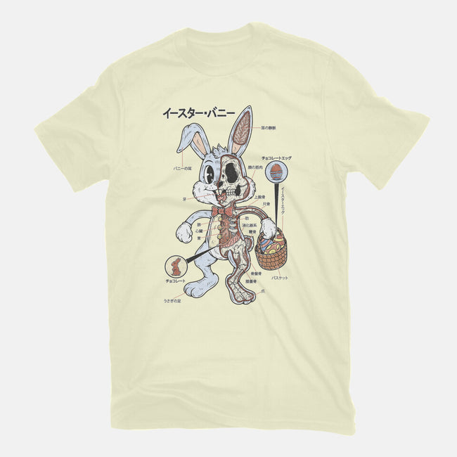 Easter Bunny Anatomy-Mens-Premium-Tee-Firebrander