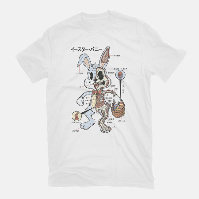 Easter Bunny Anatomy-Unisex-Basic-Tee-Firebrander