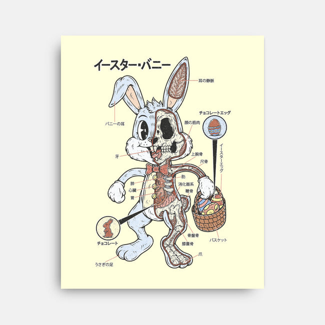 Easter Bunny Anatomy-None-Stretched-Canvas-Firebrander