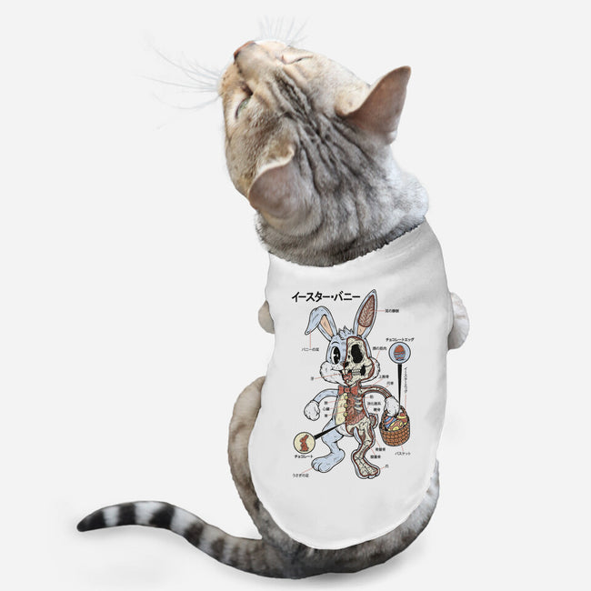 Easter Bunny Anatomy-Cat-Basic-Pet Tank-Firebrander