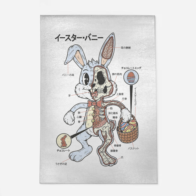 Easter Bunny Anatomy-None-Outdoor-Rug-Firebrander