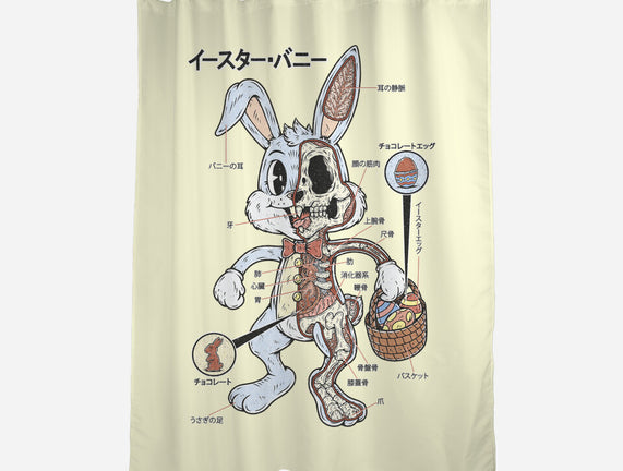 Easter Bunny Anatomy