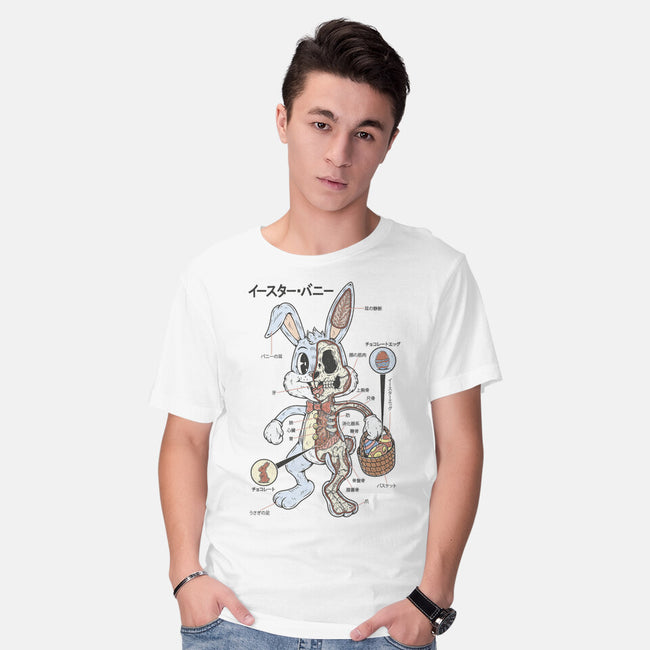 Easter Bunny Anatomy-Mens-Basic-Tee-Firebrander