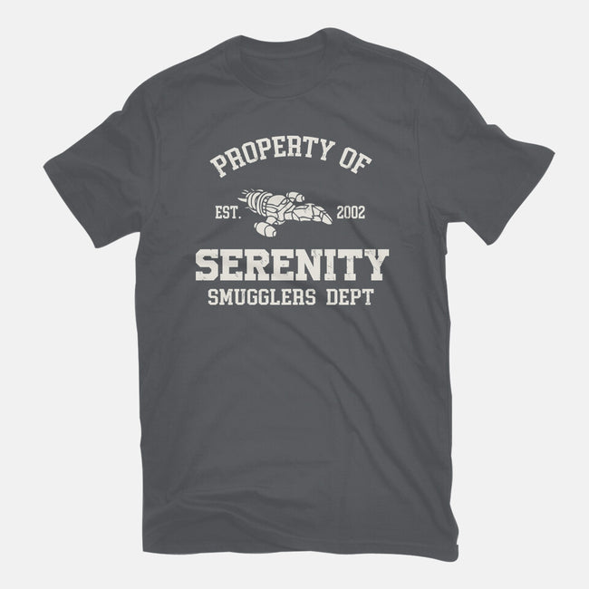 Property Of Serenity-Womens-Fitted-Tee-Melonseta