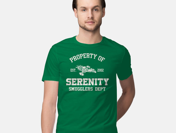 Property Of Serenity