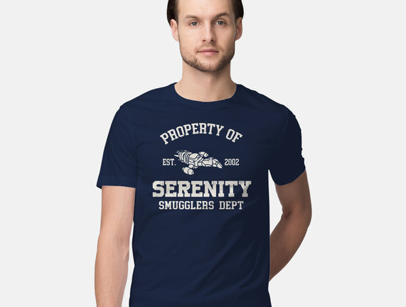 Property Of Serenity