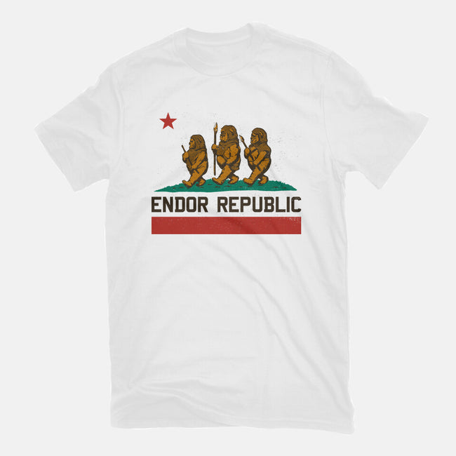 Endor Republic-Mens-Heavyweight-Tee-Hafaell