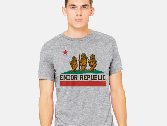 Endor Republic