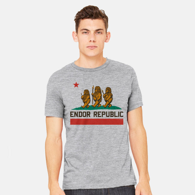 Endor Republic-Mens-Heavyweight-Tee-Hafaell