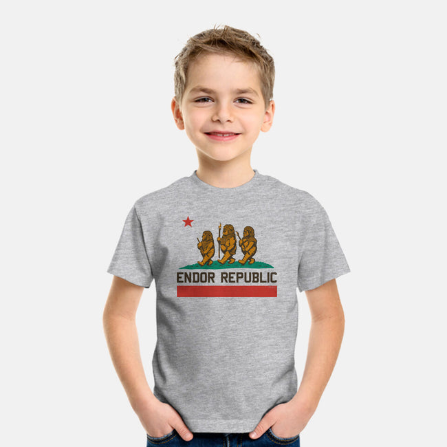 Endor Republic-Youth-Basic-Tee-Hafaell