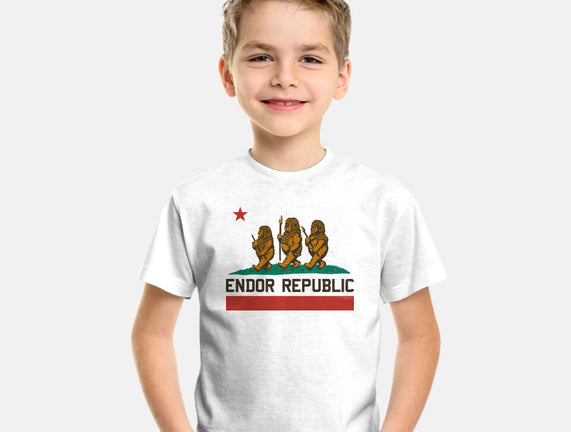 Endor Republic