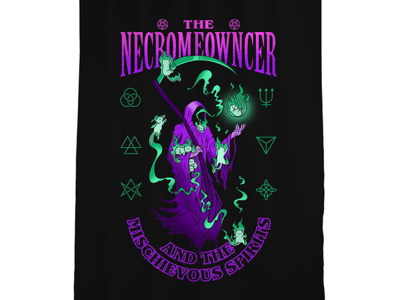 The Necromeowncer And The Mischievous Spirits