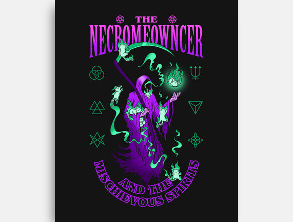 The Necromeowncer And The Mischievous Spirits