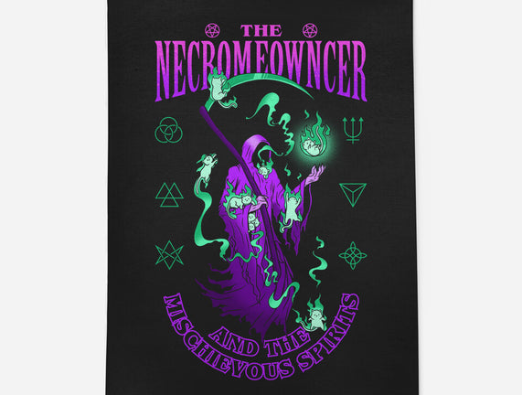 The Necromeowncer And The Mischievous Spirits