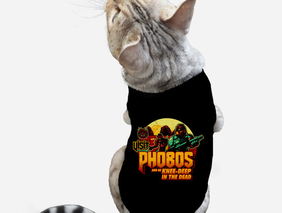 Phobos Moon