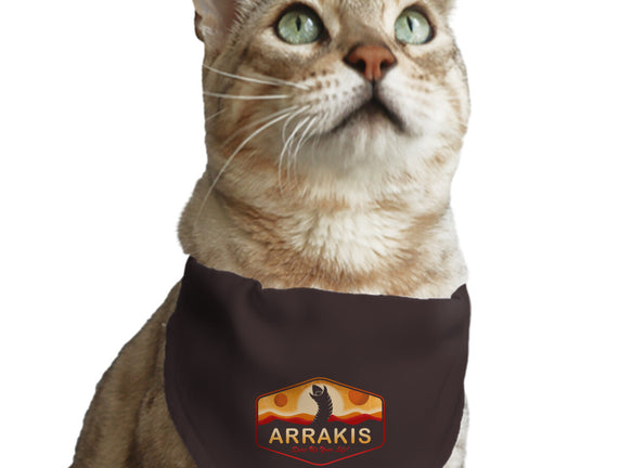 Visit Arrakis